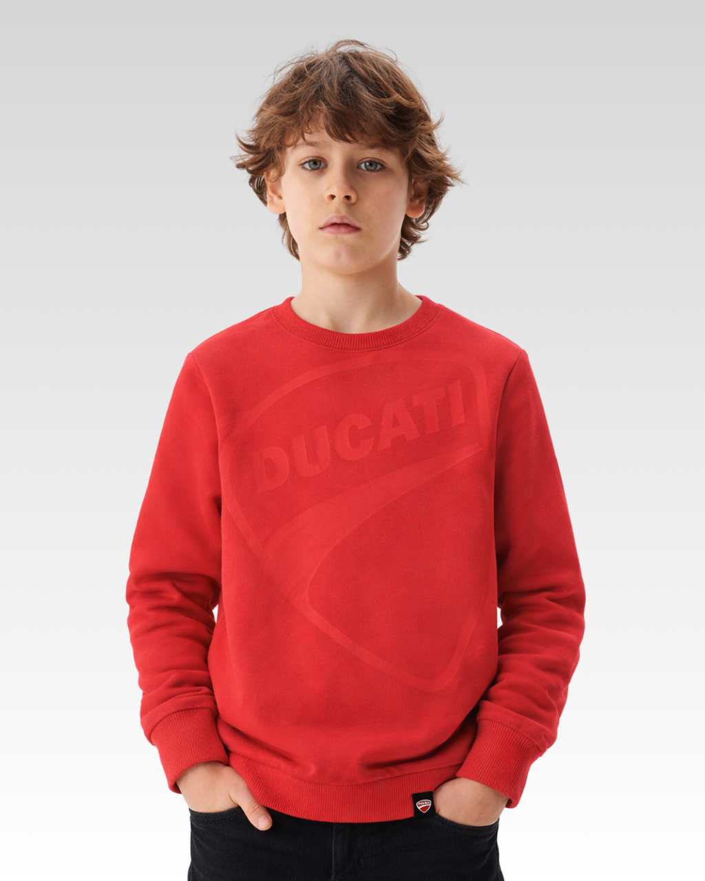 Red Regular Fit Crew Neck Sweater