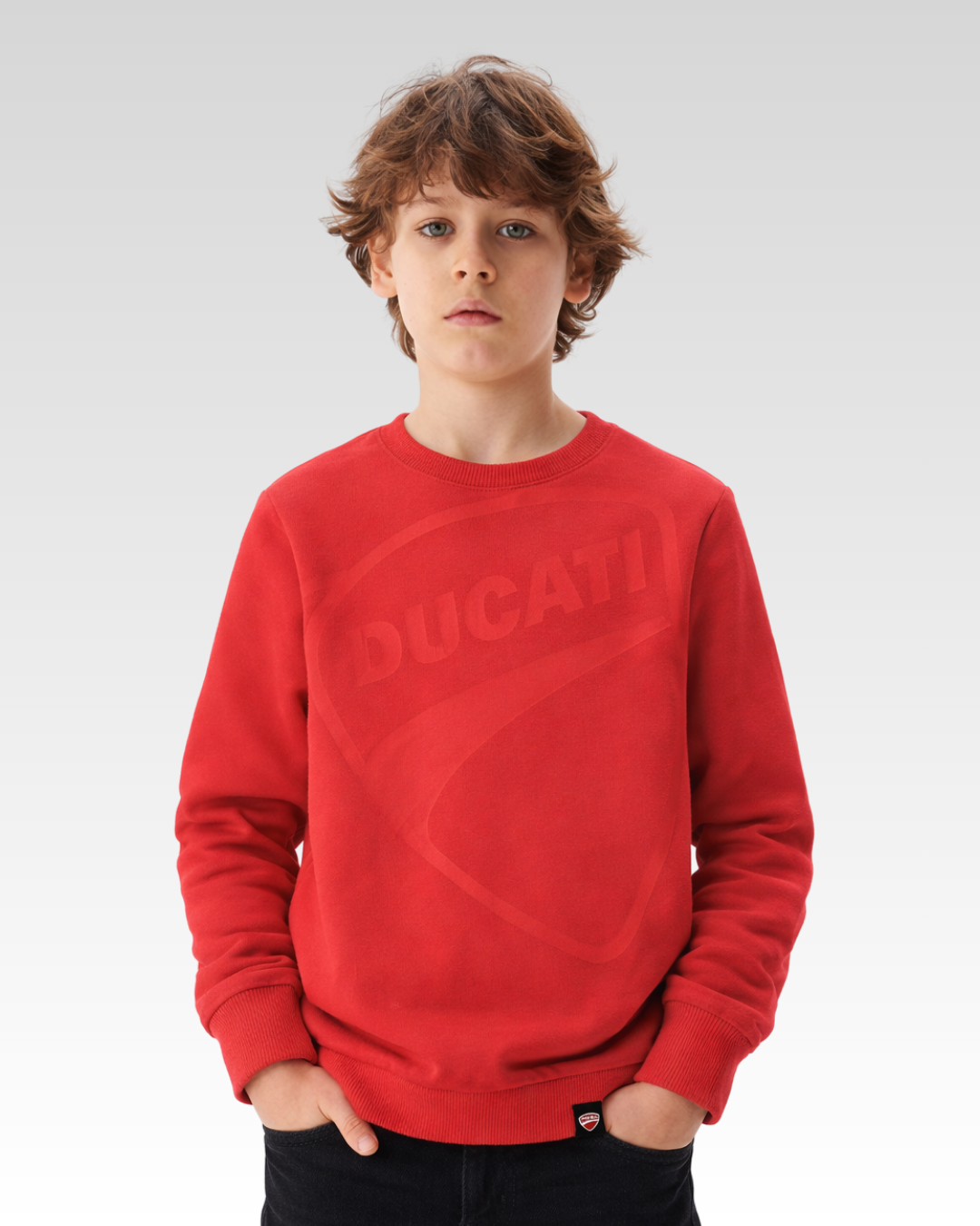 Red Regular Fit Crew Neck Sweater
