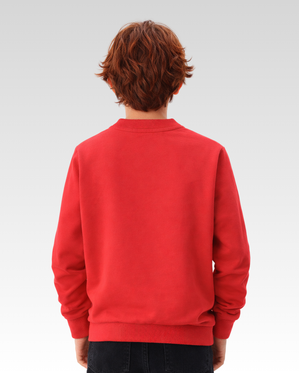 Red Regular Fit Crew Neck Sweater
