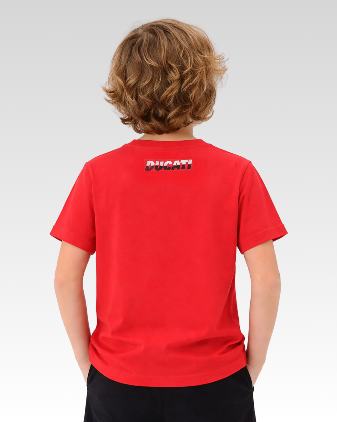 Red Maxi Shield Print Regular Fit T-Shirt