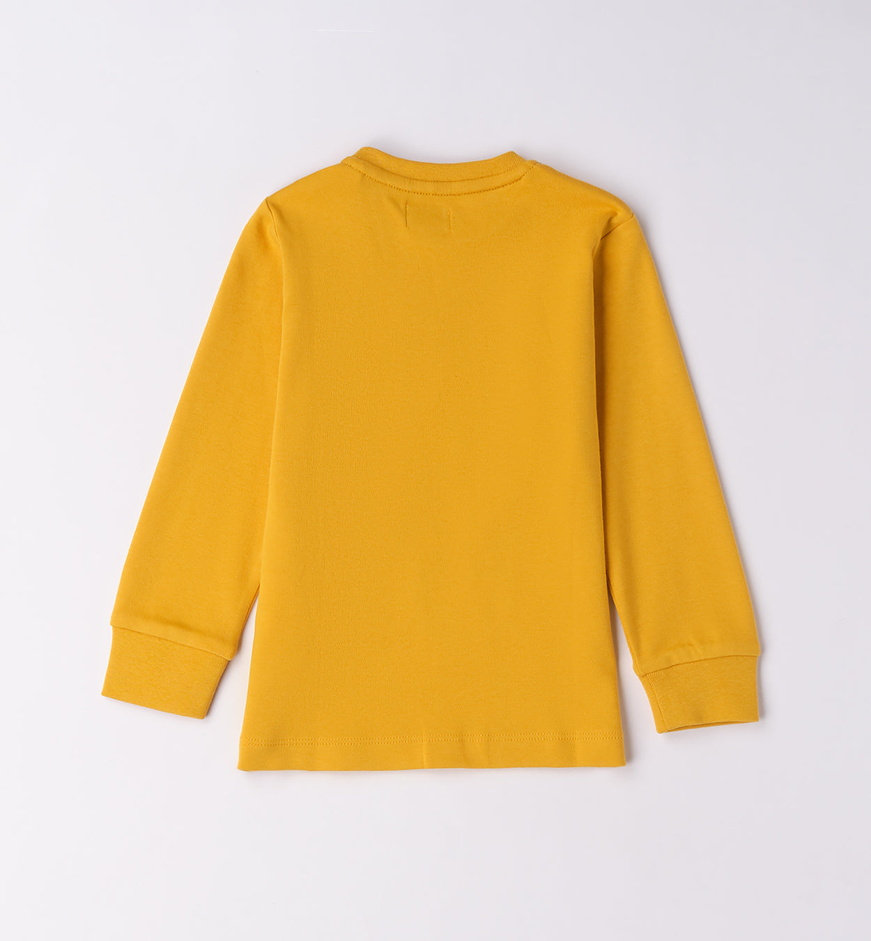 Mustard Regular Fit LONG SLEEVE ROUND-NECK