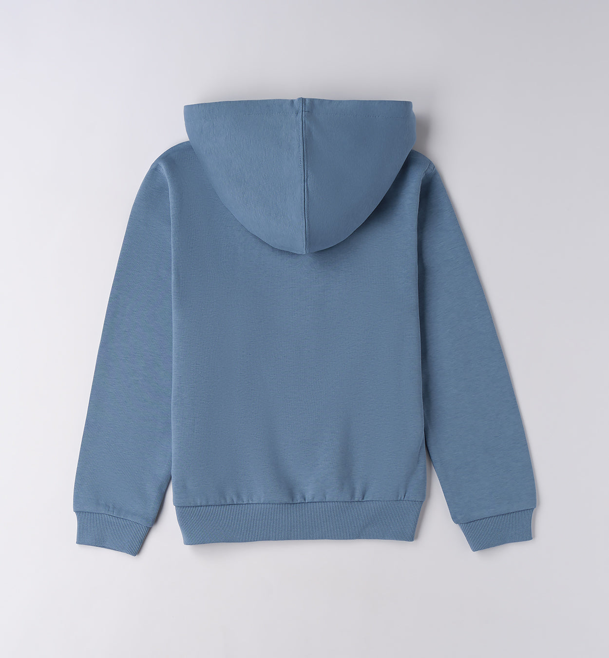 Petrol Blue Regular Fit CLOSED SWEATER WITH OR WITHOUT HOOD