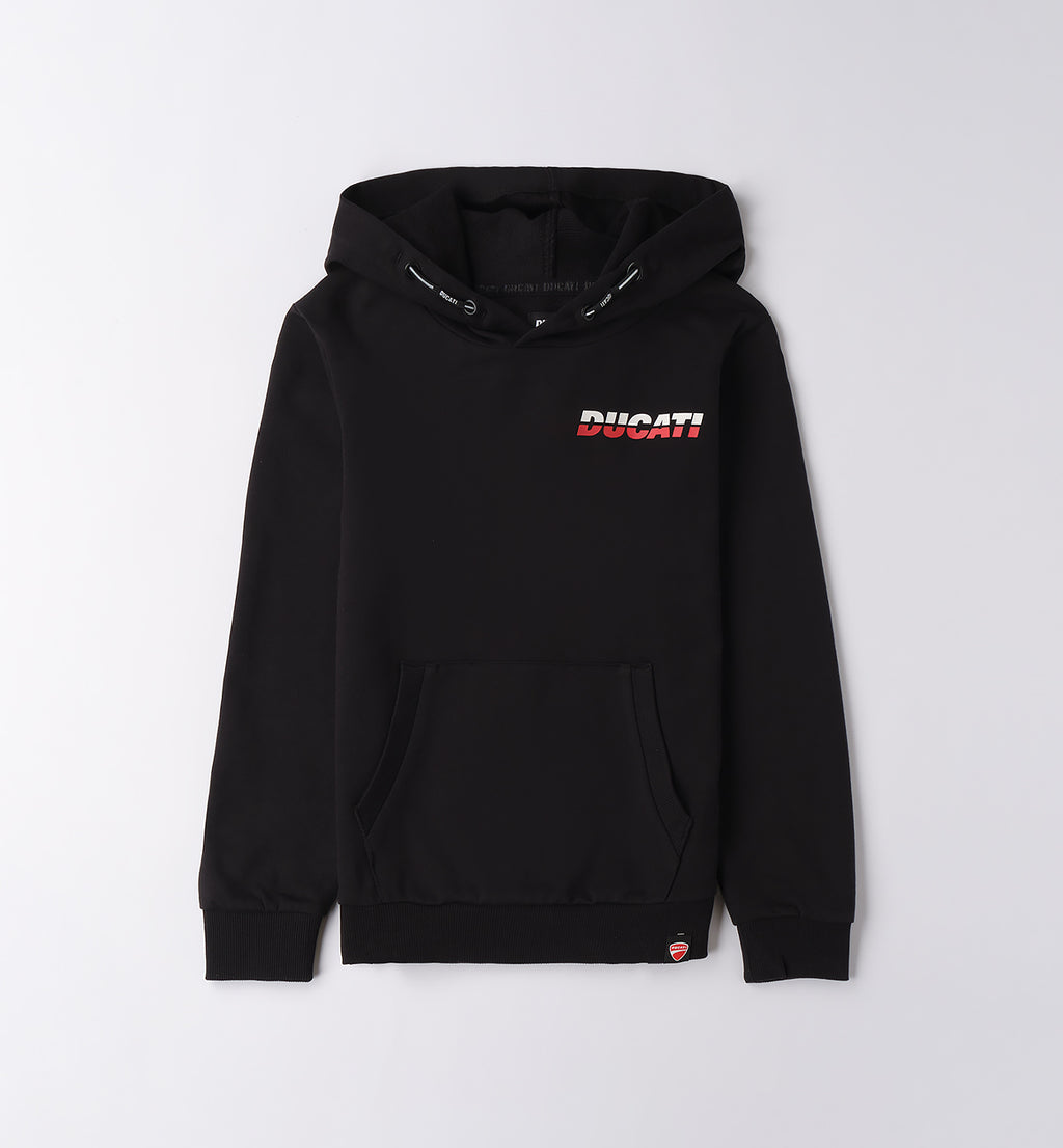 Black Regular Fit Closed Hoodie Sweater