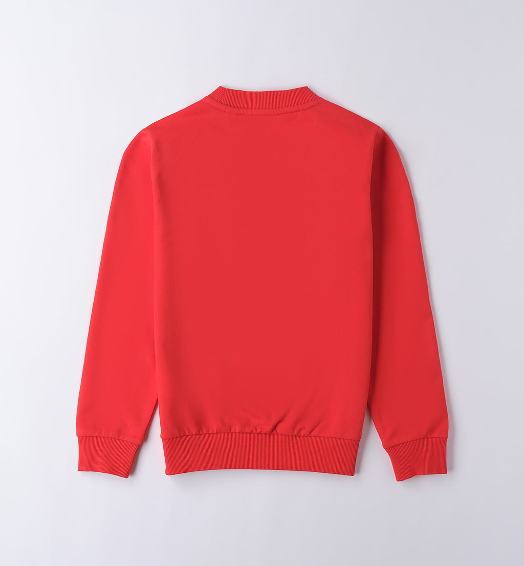 Red Regular Fit Crew Neck Sweater