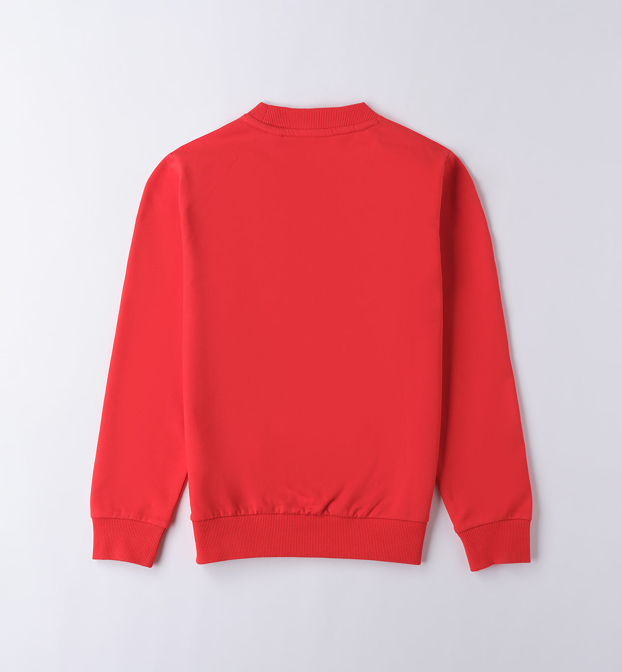 Red Regular Fit Crew Neck Sweater
