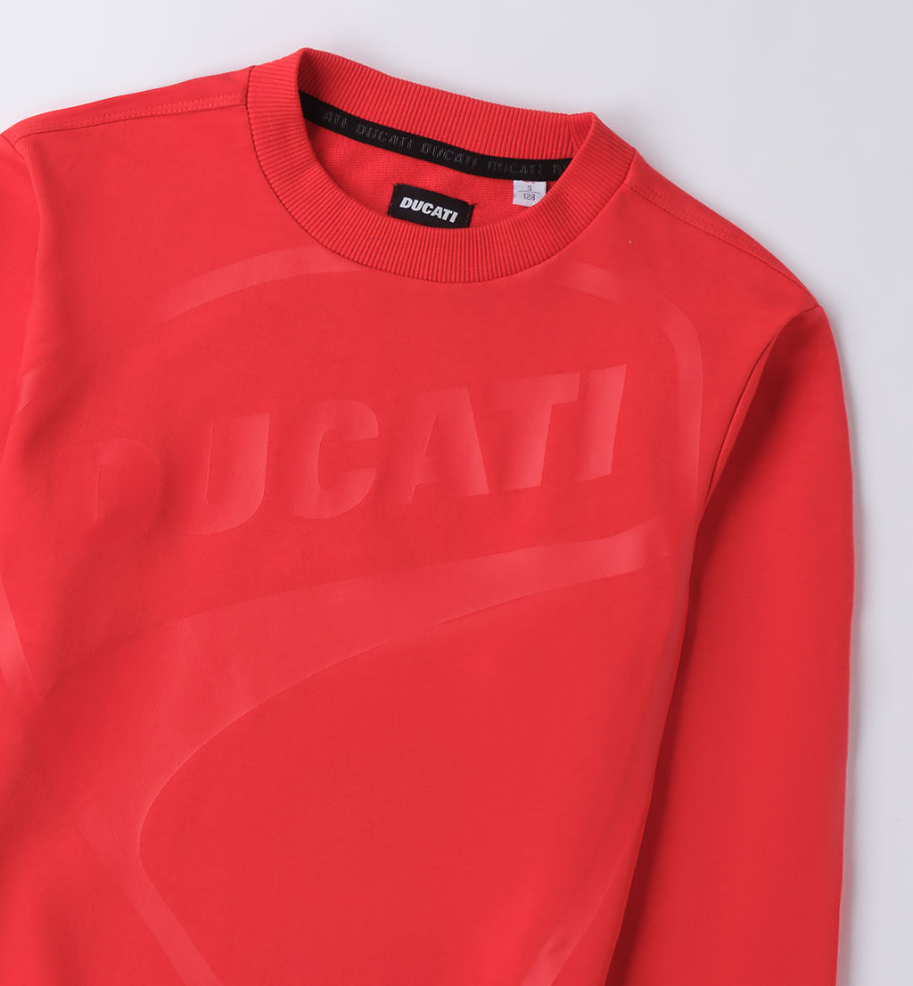 Red Regular Fit Crew Neck Sweater