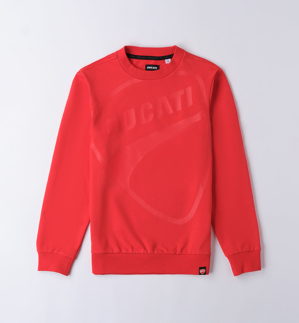 Red Regular Fit Crew Neck Sweater