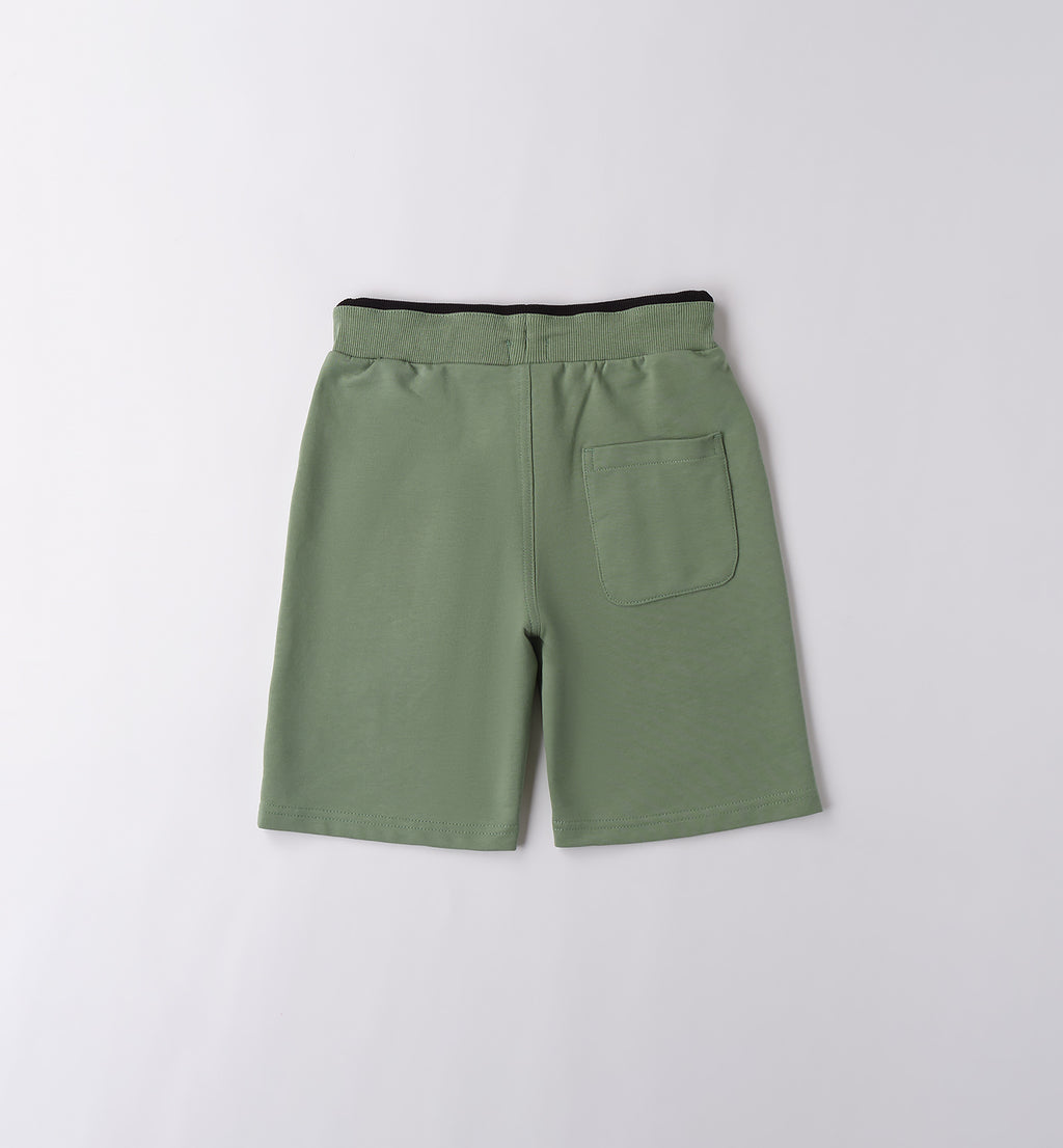 Sage Green Regular Fit Shorts