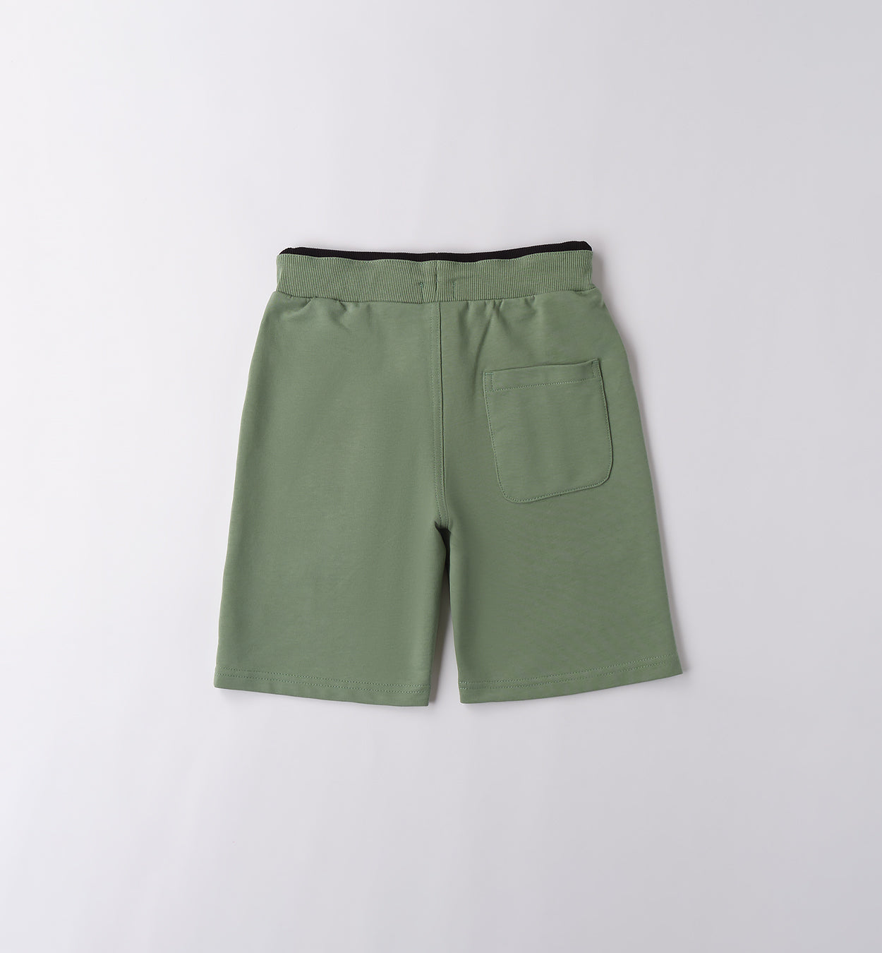 Sage Green Regular Fit Shorts