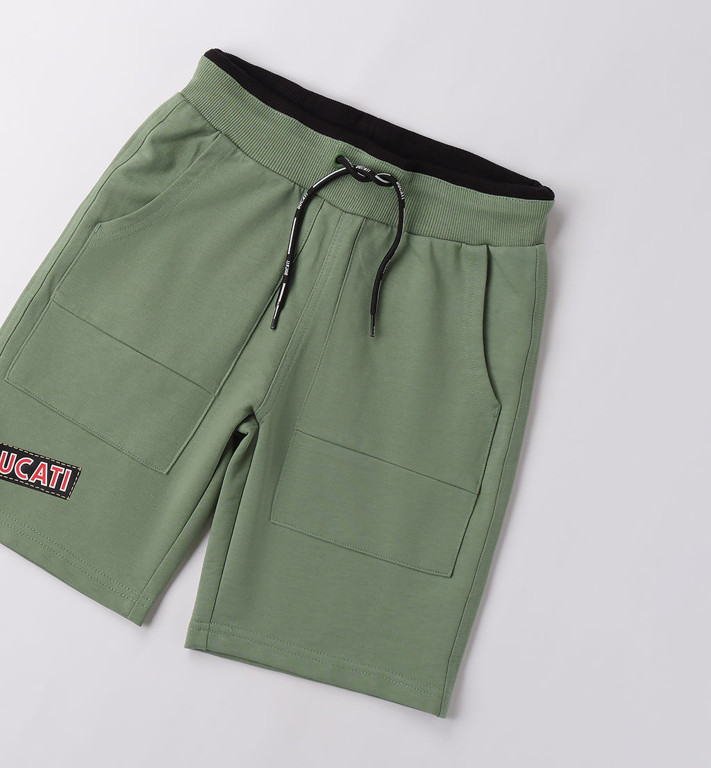 Sage Green Regular Fit Shorts