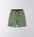 Sage Green Regular Fit Shorts
