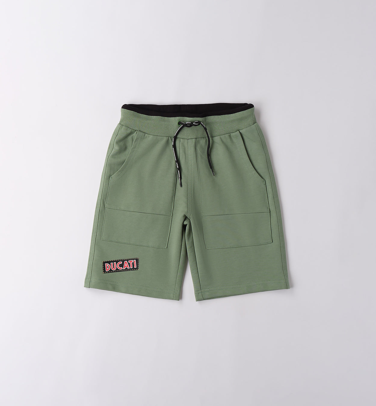 Sage Green Regular Fit Shorts
